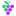 Ripenn 16 pixel favicon